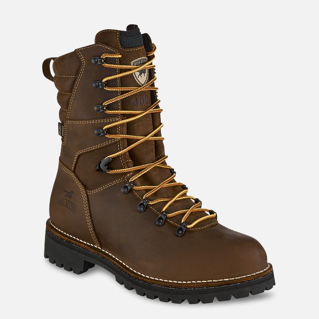 Shorewood Men's 9-inch Waterproof Insulated Leather Safety Toe Boot
